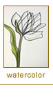 watercolor